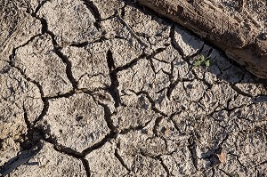 LIT DE LA RISLE ASSECHE APRES LA DISPARITION DE LA RIVIERE DANS UNE BETOIRE, ENORME TROU DE PLUSIEURS METRES DANS LA TERRE QUI AVALE TOUT LE DEBIT DE L'EAU, ASSECHANT LE LIT DE LA RIVIERE SUR PLUS DE 12 KILOMETRES, GROSLEY-SUR-RISLE, EURE (27), FRANCE 
