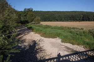 LIT DE LA RISLE ASSECHE APRES LA DISPARITION DE LA RIVIERE DANS UNE BETOIRE, ENORME TROU DE PLUSIEURS METRES DANS LA TERRE QUI AVALE TOUT LE DEBIT DE L'EAU, ASSECHANT LE LIT DE LA RIVIERE SUR PLUS DE 12 KILOMETRES, GROSLEY-SUR-RISLE, EURE (27), FRANCE 