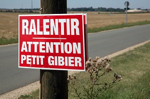 PANNEAU RALENTIR, ATTENTION PETIT GIBIER, EURE-ET-LOIR (28), FRANCE 
