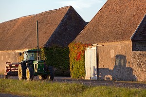TRACTEUR QUI RENTRE DES LABOURS EN FIN DE JOURNEE DEVANT LA FERME, FONTAINE-SIMON, EURE-ET-LOIR (28), FRANCE
