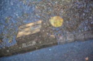 REFLET D'UNE BOITE AUX LETTRES DANS UNE FLAQUE D'EAU, MANCHE (50), FRANCE 