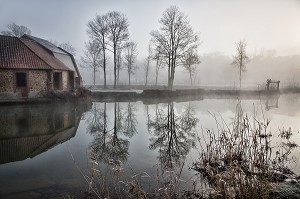RIVIERE LA RISLE DANS LA BRUME DU PETIT MATIN, RUGLES, EURE (27), FRANCE 