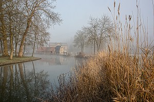 RIVIERE LA RISLE DANS LA BRUME DU PETIT MATIN, RUGLES, EURE (27), FRANCE 