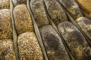 PAINS BIO AUX GRAINES (SESAME, PAVOT, PIGNON, LIN), AVANT CUISSON AU FOUR A BOIS, BOULANGERIE DE LA FERME DE SAINT-MAMERT, BUIS-SOUS-DANVILLE, EURE (27), FRANCE 