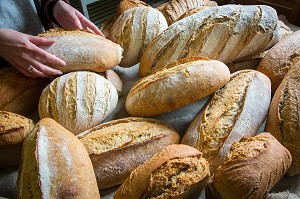 PAINS BIO CUITS AU FOUR A BOIS, BOULANGERIE DE LA FERME DE SAINT-MAMERT, BUIS-SOUS-DANVILLE, EURE (27), FRANCE 