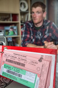 PASSEPORT DE BOVIN (VACHE, BOEUF, TAUREAU, VEAU) POUR LA TRACABILITE DES ANIMAUX, ELEVAGE DE BOVINS A VIANDE DE RACE LIMOUSINE, SAINT-AUBIN-LE-VERTUEUX, EURE (27), FRANCE 