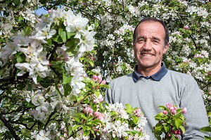 ERIC DORE, PRODUCTEUR CIDRICOLE DU PRESSOIR D'OR, DANS SON VERGER DE POMMIERS EN FLEURS, BOISEMONT, EURE (27), FRANCE 