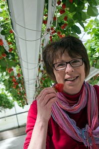 NATHALIE DE WEVER, COMMERCANTE ADHERENTE DU MOUVEMENT LOCAVORE, DEGUSTANT LES FRAISES DE LA VARIETE MARA DES BOIS, PRODUCTION DE MAXIME SAMPERS, ROMILLY-LA-PUTHENAYE, EURE (27), FRANCE 