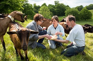 SYLVIE ET CHRISTOPHE LHOSTE, ELEVEURS, DEGUSTANT DES FROMAGES, EN COMPAGNIE DE NATHALIE DE WEVER, COMMERCANTE ADHERENTE DU MOUVEMENT LOCAVORE, ELEVAGE DE CHEVRES DE LA FERME DE LA HUTTE, LONGNY-AU-PERCHE, ORNE (61), FRANCE 