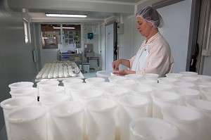SYLVIE LHOSTE, ELEVEUSE DE CHEVRES ET FROMAGERE, PROCEDANT AU SALAGE DE SES FROMAGES, FROMAGERIE ARTISANALE DE LA FERME DE LA HUTTE, LONGNY-AU-PERCHE, ORNE (61), FRANCE 