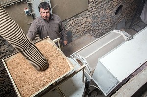 PASCAL ZOUTARD DANS SON MOULIN A FARINE TRADITIONNEL, FERME DE SAINT-MAMERT, BUIS-SOUS-DANVILLE, EURE (27), FRANCE 