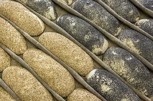 PAINS BIO AUX GRAINES DE SESAME ET DE PAVOT, AVANT LA CUISSON AU FOUR A BOIS, BOULANGERIE DE LA FERME DE SAINT-MAMERT, BUIS-SOUS-DANVILLE, EURE (27), FRANCE 