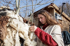 LORELEI CARDE LA LAINE DE MOUTON A LA MAIN AVANT DE LA NETTOYER, ELLE A TOUT QUITTE POUR CONSTRUIRE ET HABITER SA CABANE EN BOIS AU MILIEU DE LA CREUSE, FRANCE 