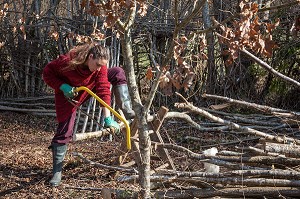 LORELEI PREPARE SON BOIS DE CHAUFFAGE, CREUSE, FRANCE 