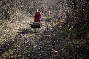 LORELEI VA CHERCHER SON BOIS DE CHAUFFAGE SUR SON TERRAIN, ELLE A TOUT QUITTE POUR CONSTRUIRE ET HABITER SA CABANE EN BOIS AU MILIEU DE LA CREUSE, FRANCE 