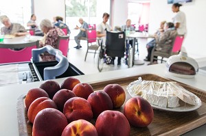 FRUITS FRAIS POUR LE DEJEUNER DU MIDI DANS LA SALLE DE RESTAURATION, EHPAD ANDRE COUTURIER, ETABLISSEMENT PUBLIC DU SUD DE L'EURE, HEBERGEMENT POUR PERSONNES AGEES INDEPENDANTES, RUGLES, EURE (27), FRANCE 