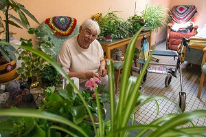 CHAMBRE D'UNE RESIDENTE AVEC SES PLANTES VERTES, EHPAD ANDRE COUTURIER, ETABLISSEMENT PUBLIC DU SUD DE L'EURE, HEBERGEMENT POUR PERSONNES AGEES INDEPENDANTES, RUGLES, EURE (27), FRANCE 