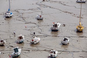 BATEAUX DANS LE PORT A MAREE BASSE, GRANVILLE, MANCHE (50), FRANCE 