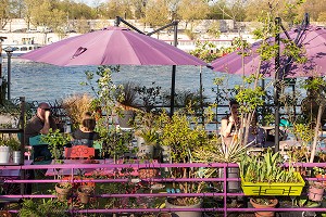 PENICHE FLEURIE EN VEGETALISEE EL ALAMEIN SUR LES QUAIS DE LA SEINE, PORT DE LA GARE, 13 EME ARRONDISSEMENT, PARIS (75), FRANCE 