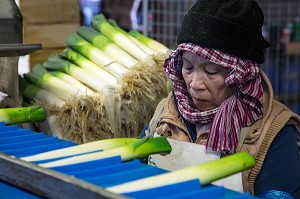 MAIN D’OEUVRE ETRANGERE ASIATIQUE POUR LE LAVAGE ET LE CONDITIONNEMENT DES POIREAUX, (41) LOIR-ET-CHER, FRANCE 