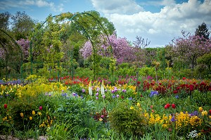 JARDIN DU CLOS NORMAND DE LA MAISON DU PEINTRE IMPRESSIONNISTE CLAUDE MONET, GIVERNY, EURE (27), NORMANDIE, FRANCE 