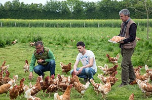 LAURENT CLEMENT, CHEF ETOILE DU COURS GABRIEL ET BRUNO DEBRAY AVEC SON FILS, ELEVEUR DE POULES ET PRODUCTEUR D'OEUFS EN PLEIN AIR, PRODUITS DE TERROIR DE TERRES D'EURE-ET-LOIR, LA CROIX DU PERCHE (28), FRANCE 