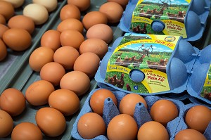 OEUFS DE POULES ELEVEES EN PLEIN AIR, PRODUCTEUR BRUNO DEBRAY, PRODUITS DE TERROIR DE TERRES D'EURE-ET-LOIR, LA CROIX DU PERCHE (28), FRANCE 