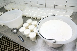 FABRICATION DE FROMAGES DE CHEVRES CHEZ YOLANDE MOREAU, PRODUITS DE TERROIR DE TERRES D'EURE-ET-LOIR, FRETIGNY (28), FRANCE