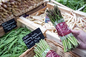 ASPERGES VERTES (REINE DU TERROIR), MARCHE AUX LEGUMES COUVERT DE CHARTRES (28), FRANCE 