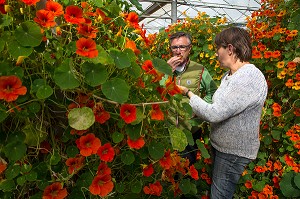 LAURENT CLEMENT, CHEF ETOILE DU COURS GABRIEL ET VIRGINIE BOUCHARD AU MILIEU DES CAPUCINES, PRODUCTRICE DE FLEURS COMESTIBLES, PRODUITS DE TERROIR DE TERRES D'EURE-ET-LOIR, TREMBLAY-LES VILLAGES (28), FRANCE 