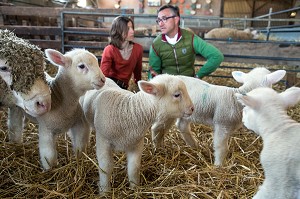LAURENT CLEMENT, CHEF ETOILE DU COURS GABRIEL ET VIRGINIE HERBEAUX, ELEVEUR DE MOUTONS ET D'AGNEAUX, PRODUITS DE TERROIR DE TERRES D'EURE-ET-LOIR, SAINT-ARNOULT-DES-BOIS (28), FRANCE 