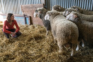 VIRGINIE HERBEAUX, ELEVEUR DE MOUTONS ET D'AGNEAUX, PRODUITS DE TERROIR DE TERRES D'EURE-ET-LOIR, SAINT-ARNOULT-DES-BOIS (28), FRANCE 