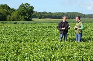 LAURENT CLEMENT, CHEF ETOILE DU COURS GABRIEL ET LAURENT DELATOUCHE, PRODUCTEURS DE LENTILLES, PRODUITS DE TERROIR DE TERRES D'EURE-ET-LOIR, CORENCEZ (28), FRANCE 