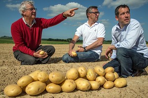 LAURENT CLEMENT, CHEF ETOILE DU COURS GABRIEL ET ERIC ET MATHIEU BONNET (PERE ET FILS), PRODUCTEURS DE POMMES DE TERRE, PRODUITS DE TERROIR DE TERRES D'EURE-ET-LOIR, DIGNY (28), FRANCE 
