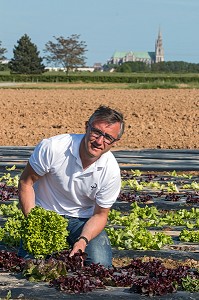 LAURENT CLEMENT, CHEF ETOILE DU COURS GABRIEL, CUEILLETTE 'CHAPEAU DE PAILLE' DE FRUITS ET LEGUMES DE SERESVILLE (SALADES), PRODUITS DE TERROIR DE TERRES D'EURE-ET-LOIR, MAINVILLIERS (28), FRANCE 