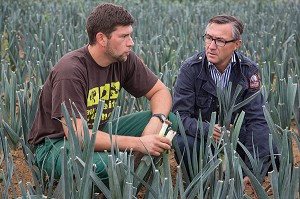 LAURENT CLEMENT, CHEF DE L'HOTEL RESTAURANT LE GRAND MONARQUE, EN COMPAGNIE Du PRODUCTEUR MARAICHER ALEXANDRE MORNAS, SUR LEUR EXPLOITATION MARAICHERE BIOLOGIQUE AUX PETITS LEGUMES, BERCHERES-LES-PIERRES, EURE-ET-LOIR (28), FRANCE 