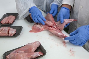 LAURENT CLEMENT, CHEF ETOILE DU COURS GABRIEL DANS LE LABORATOIRE DE PREPARATION DES LAPINS DU BOIS ROUVRAY, PRODUITS DE TERROIR DE TERRES D'EURE-ET-LOIR, FAVIERES (28), CHARTRES 