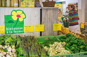 CUEILLETTE DE FRUITS ET LEGUMES (FLEURS DE COURGETTES), BIENVENUE A LA FERME, PRODUITS DE TERROIR DE TERRES D'EURE-ET-LOIR, LES JARDINS D’IMBERMAIS, EURE-ET-LOIR (28), FRANCE 