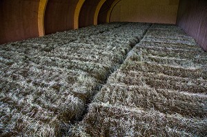 STOCKAGE ET SECHAGE DES FOINS POUR L'HIVER, ELEVAGE DE BOEUF ET VACHES DE JEAN-EDOUARD JEAUNEAU, PRODUITS DE TERROIR, LES ETILLEUX (28), FRANCE 