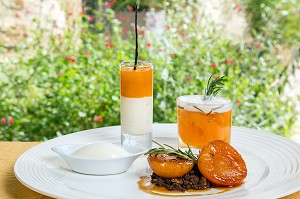 RECETTE, DECLINAISON D’ABRICOTS AU PARFUM DE ROMARIN ET SA GLACE A L’AMANDE, RESTAURANT 'ENTRE VIGNE ET GARRIGUE', PUJAUT (30) GARD, LANGUEDOC-ROUSSILLON 