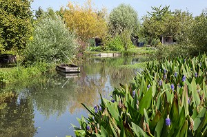 JARDINS ET BARQUES DANS LES MARAIS DU BAS, VILLE DE BOURGES, (18) CHER, CENTRE, FRANCE 