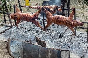 COCHONS GRILLES AU SARMENTS DE VIGNES, LE BOULOU (66) PYRENEES-ORIENTALES, LANGUEDOC-ROUSSILLON, FRANCE 