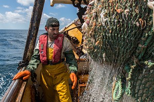 RELEVE DES FILETS SUR UN TRAIT DE CHALUT, PECHE EN MER SUR UN CHALUTIER A LA LANGOUSTINE 'LE QUENTIN-GREGOIRE' AU LARGE DES SABLES-D'OLONNE, (85) VENDEE, PAYS DE LA LOIRE, FRANCE 