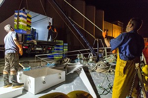 DECHARGEMENT DU POISSON ET DES LANGOUSTINES POUR TRANSPORT A LA CRIEE, CHALUTIER A LA LANGOUSTINE 'LE QUENTIN-GREGOIRE', LES SABLES-D'OLONNE, (85) VENDEE, PAYS DE LA LOIRE, FRANCE 