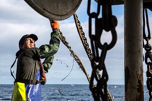 RELEVE DES CABLES ET CHAINES DE TRACTION DES FILETS SUR UN  TRAIT DE CHALUT, PECHE EN MER SUR UN CHALUTIER A LA LANGOUSTINE 'LE QUENTIN-GREGOIRE' AU LARGE DES SABLES-D'OLONNE, (85) VENDEE, PAYS DE LA LOIRE, FRANCE 