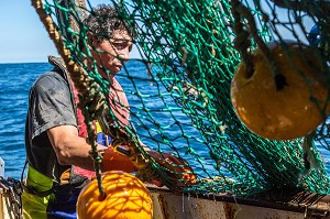 MARINS EN ACTION POUR LA RELEVE DES FILETS SUR UN TRAIT DE CHALUT, PECHE EN MER SUR UN CHALUTIER A LA LANGOUSTINE 'LE QUENTIN-GREGOIRE' AU LARGE DES SABLES-D'OLONNE, (85) VENDEE, PAYS DE LA LOIRE, FRANCE 