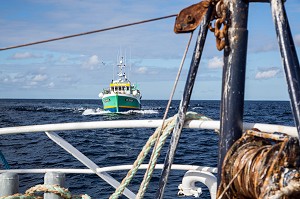 BATEAU LE GAMIN EN APPROCHE POUR RECUPERER DE LA MARCHANDISE, PECHE EN MER SUR UN CHALUTIER A LA LANGOUSTINE AU LARGE DES SABLES-D'OLONNE, (85) VENDEE, PAYS DE LA LOIRE, FRANCE 