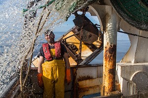 RELEVE DES FILETS SUR UN TRAIT DE CHALUT, PECHE EN MER SUR UN CHALUTIER A LA LANGOUSTINE 'LE QUENTIN-GREGOIRE' AU LARGE DES SABLES-D'OLONNE, (85) VENDEE, PAYS DE LA LOIRE, FRANCE 