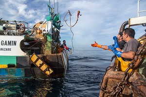 ABORDAGE AMICAL DE DEUX BATEAUX POUR TRANSPORTER DES LANGOUSTINES VIVANTES VERS LA CRIEE, PECHE EN MER SUR UN CHALUTIER A LA LANGOUSTINE 'LE QUENTIN-GREGOIRE ET LE GAMIN' AU LARGE DES SABLES-D'OLONNE, (85) VENDEE, PAYS DE LA LOIRE, FRANCE 