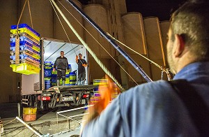 DECHARGEMENT DU POISSON ET DES LANGOUSTINES POUR TRANSPORT A LA CRIEE, CHALUTIER A LA LANGOUSTINE 'LE QUENTIN-GREGOIRE', LES SABLES-D'OLONNE (85), FRANCE 